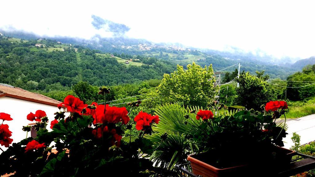 B&B Da Franca Camporgiano Exterior photo